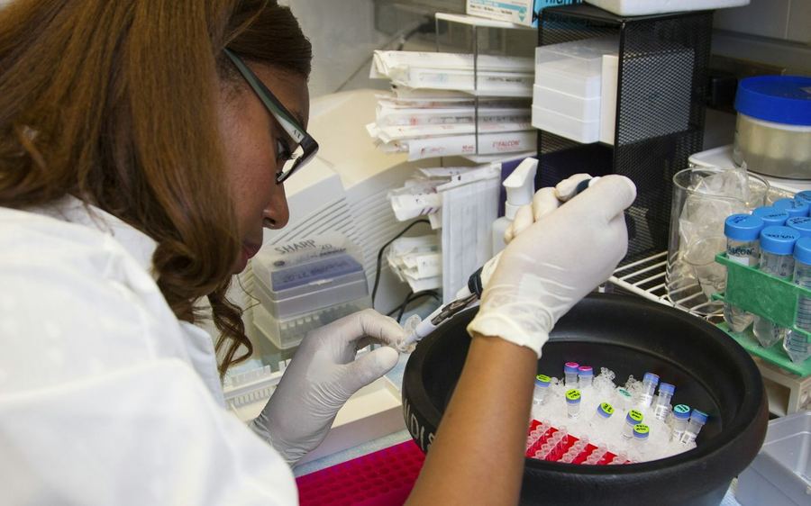A laboratory technician processing samples